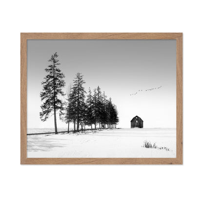 Lone Barn Winter
