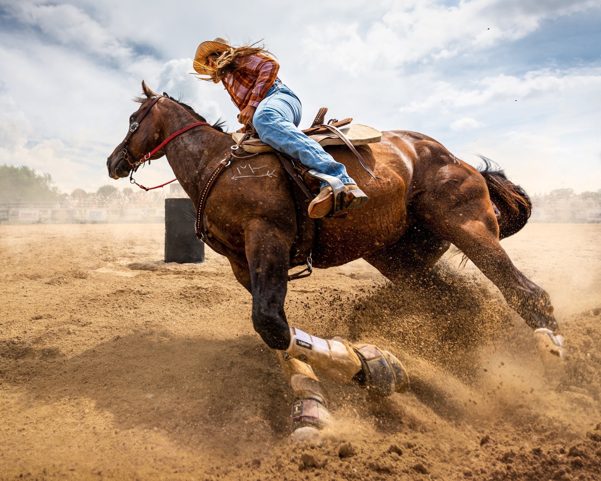Barrel Racing Action No1 – Poster Master