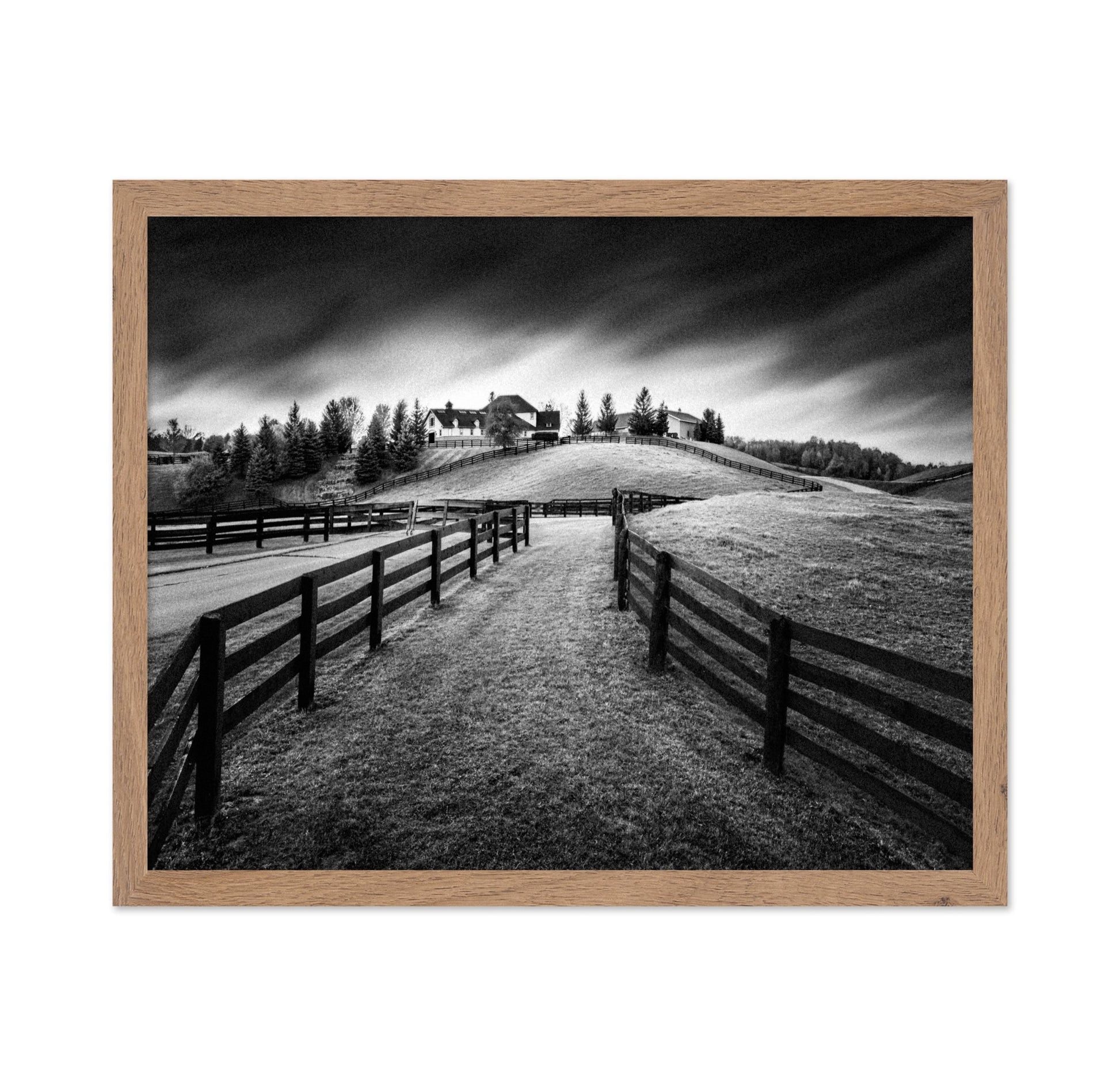 Rustic Farm Path