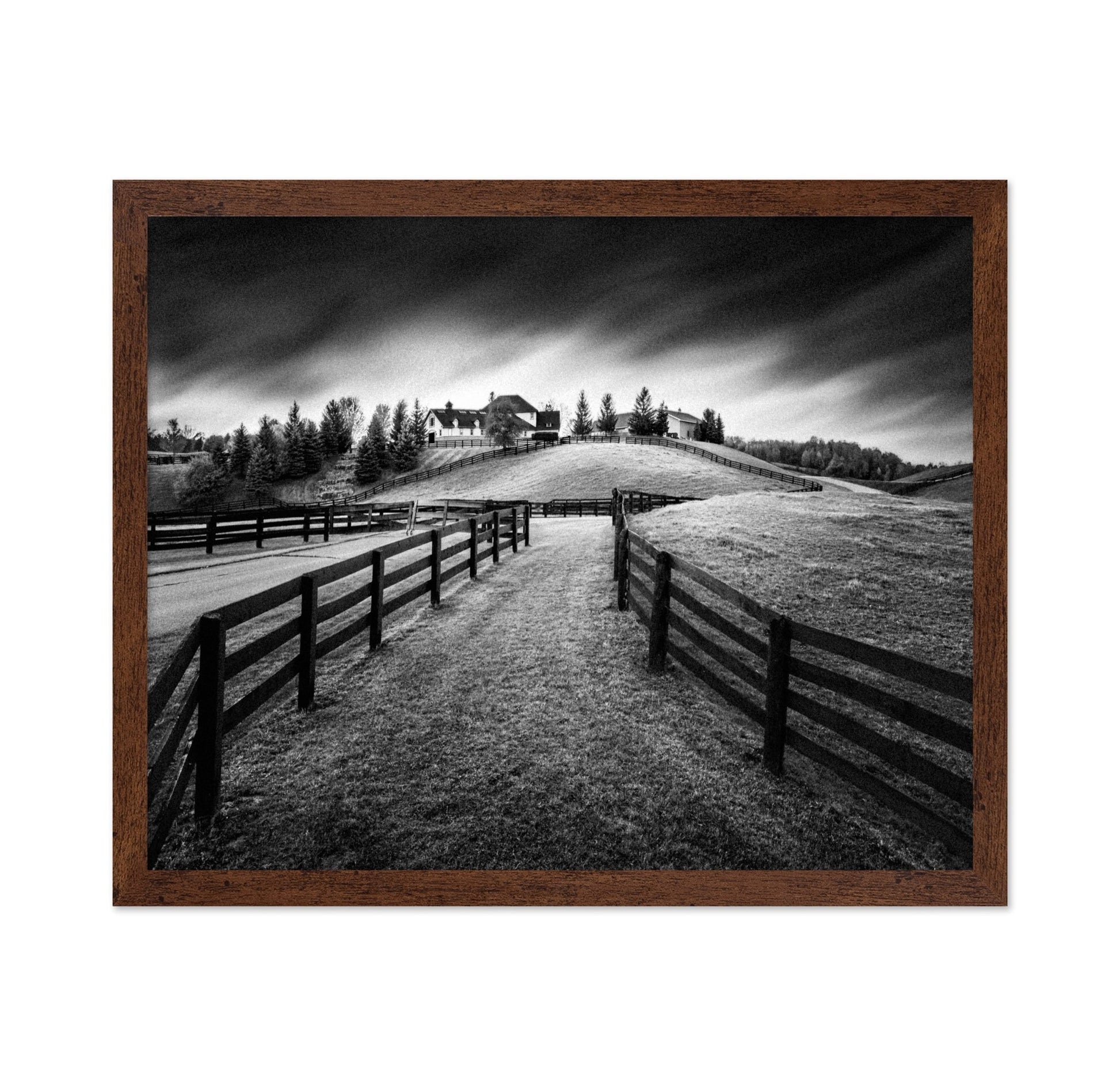 Rustic Farm Path