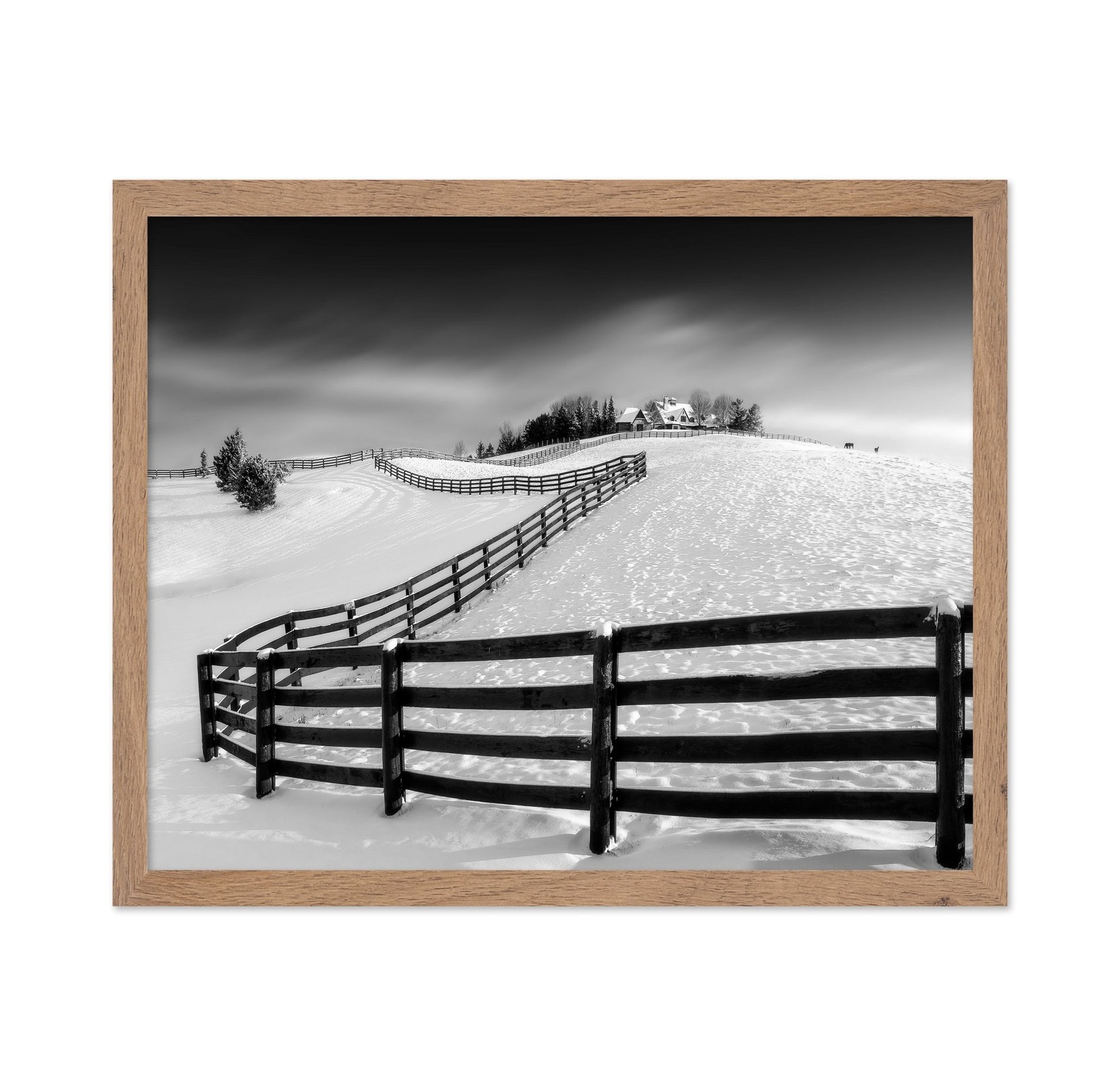 Snowy Fence Hills