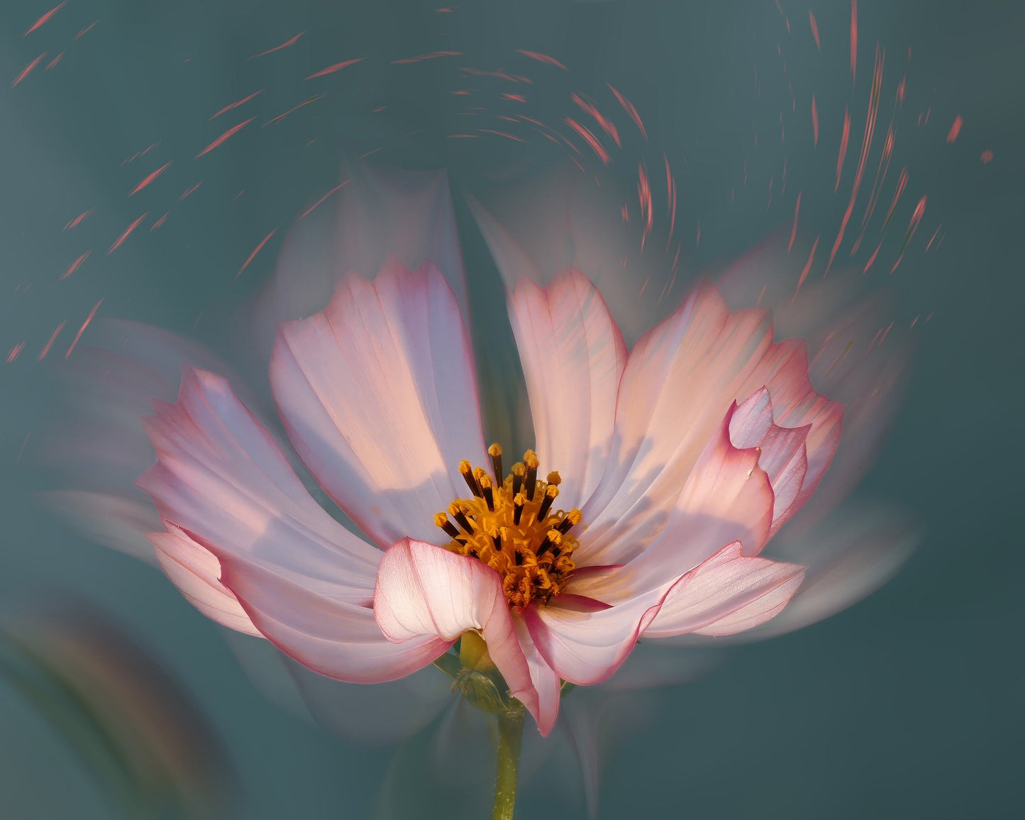Soft Bloom Glow