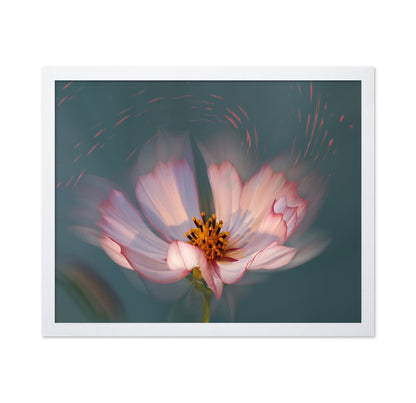 Soft Bloom Glow
