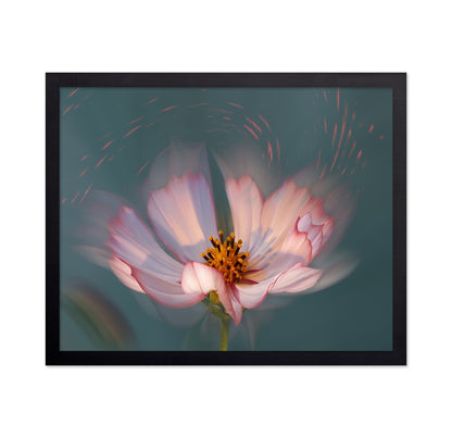 Soft Bloom Glow
