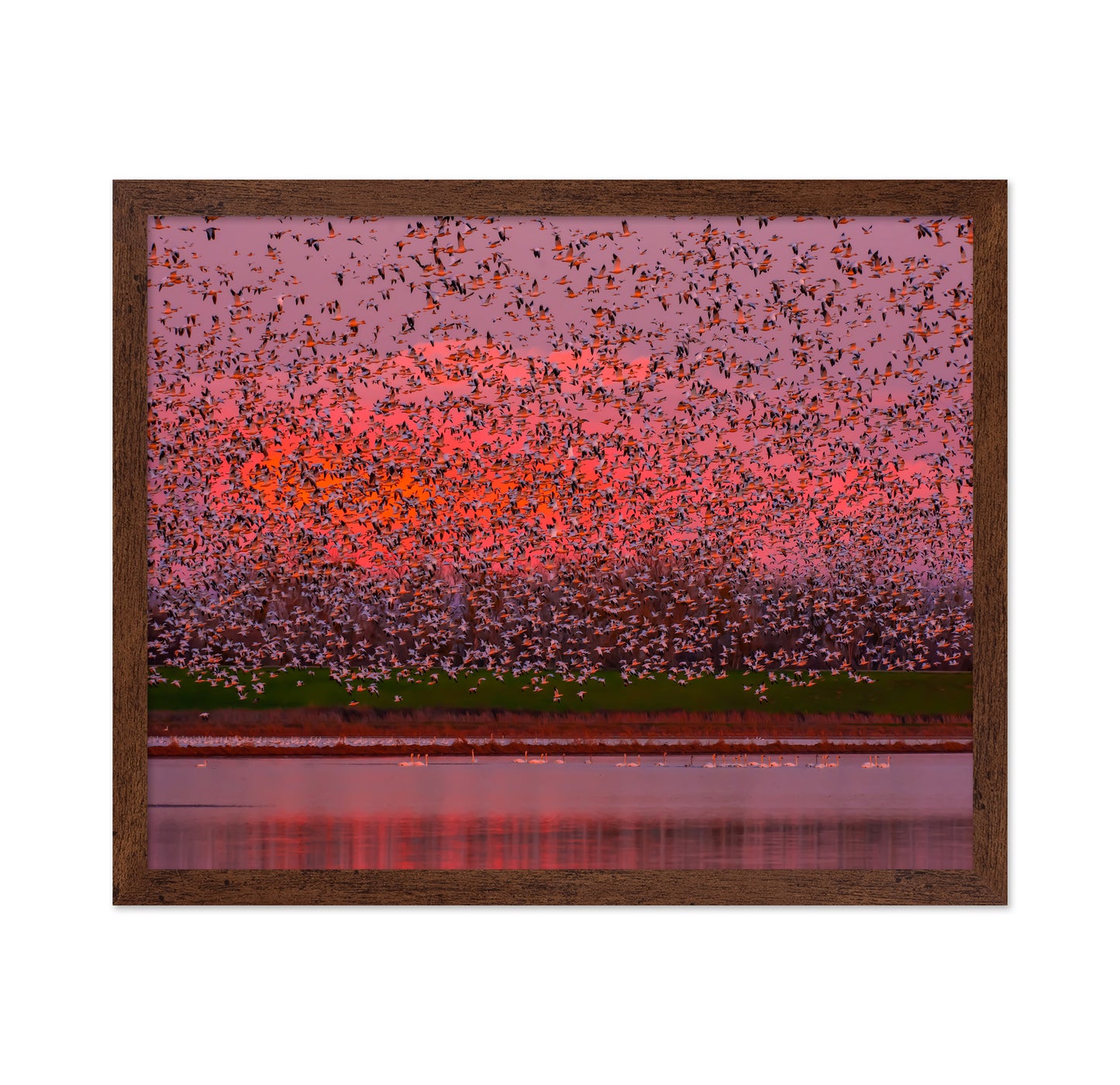 Sunset Bird Migration No1