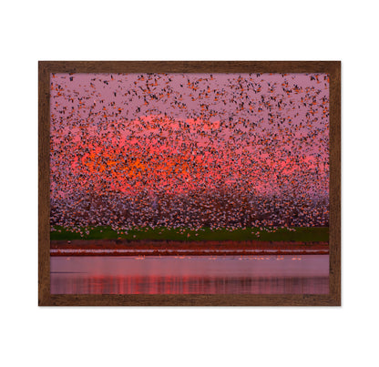 Sunset Bird Migration No1