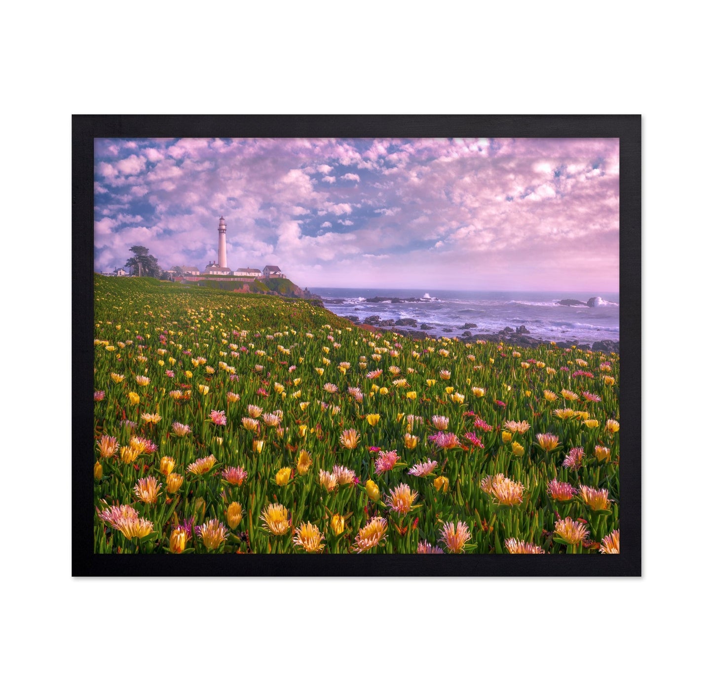 Coastal Flower Field