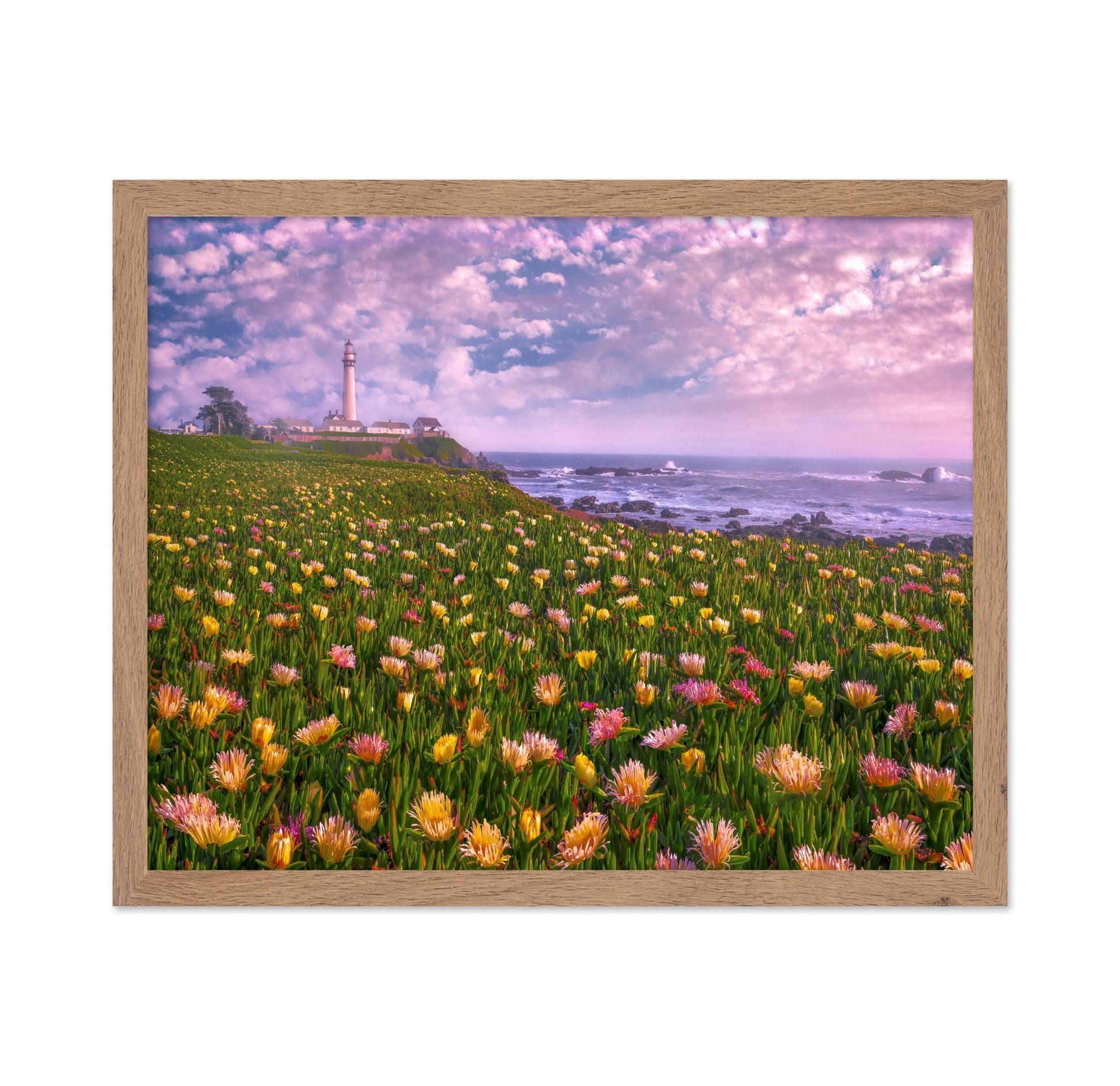 Coastal Flower Field