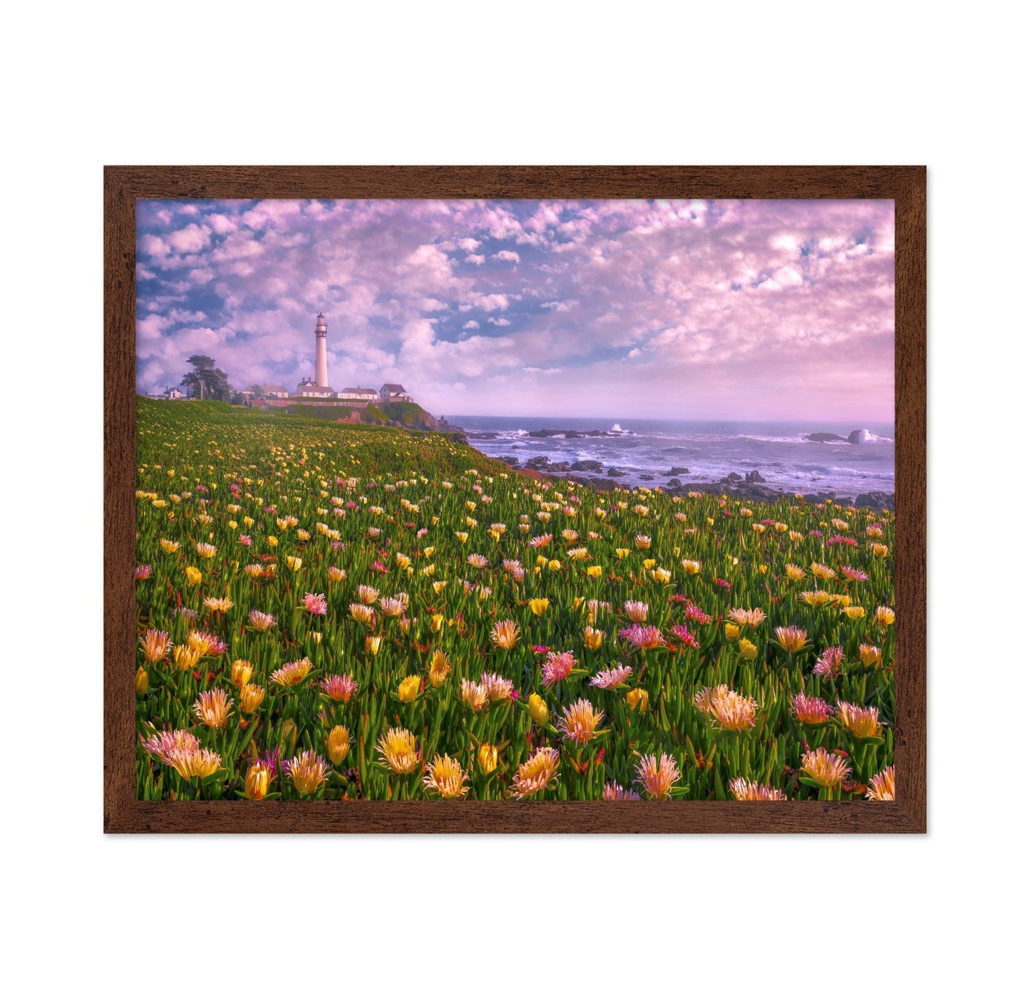 Coastal Flower Field