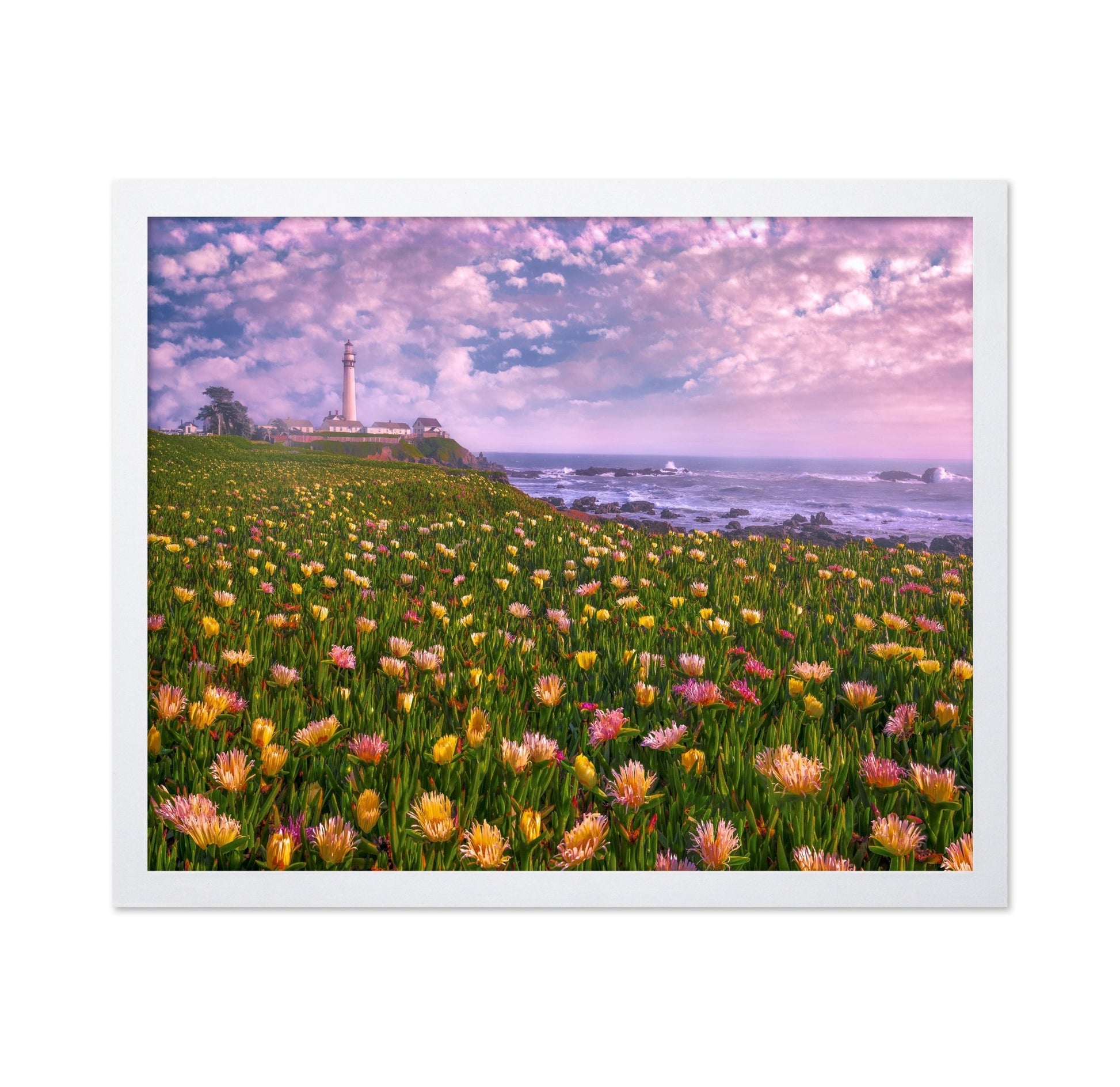 Coastal Flower Field