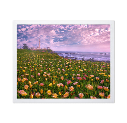 Coastal Flower Field