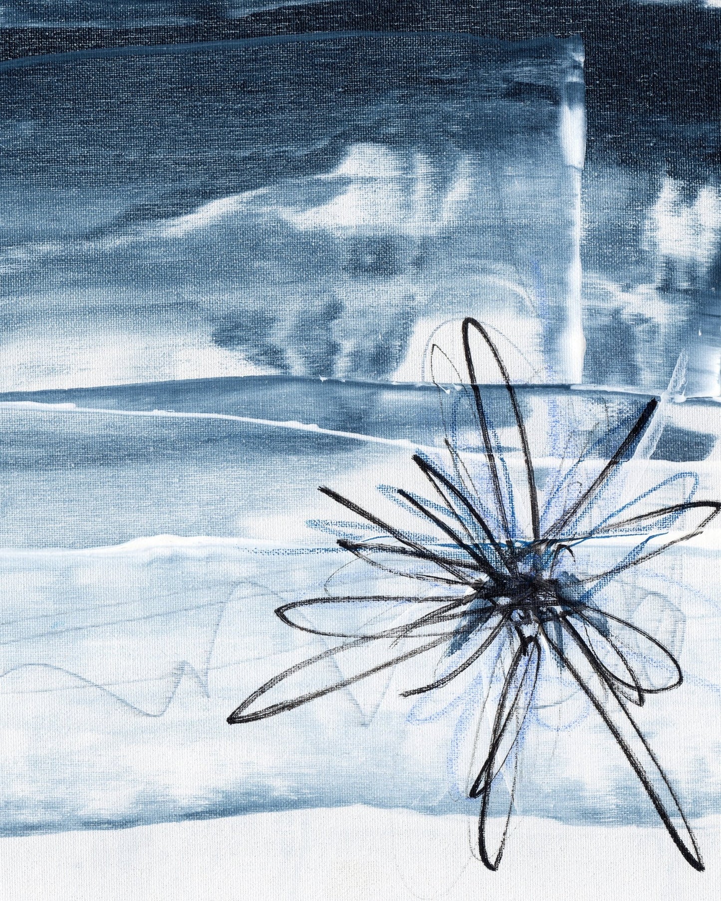 Coastal Bloom Sketch