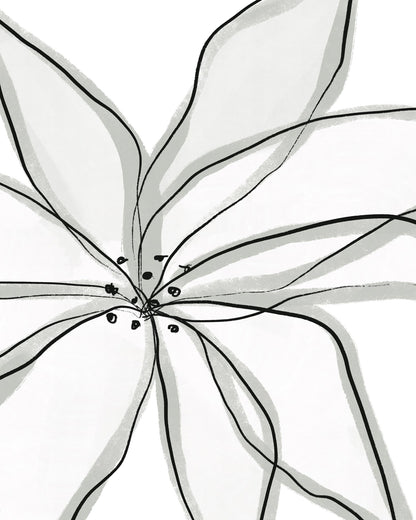 Minimal Flower Lines No1