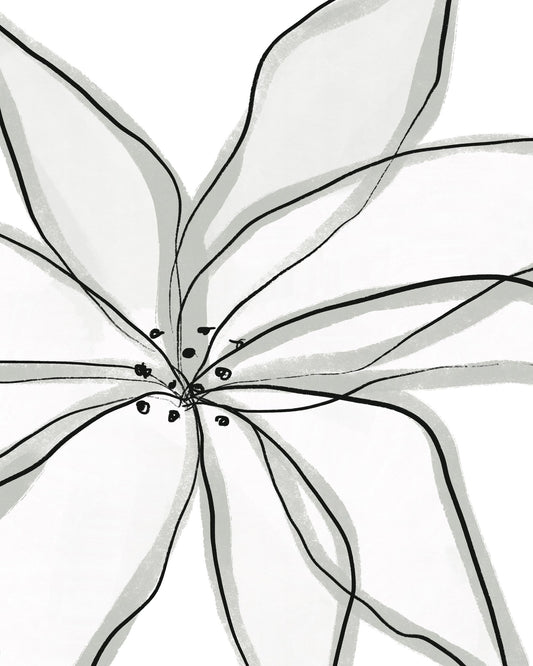 Minimal Flower Lines No1