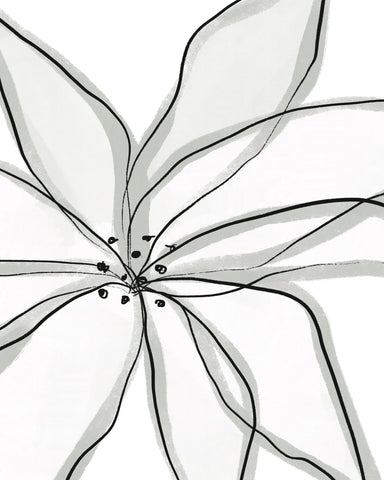 Minimal Flower Lines No1