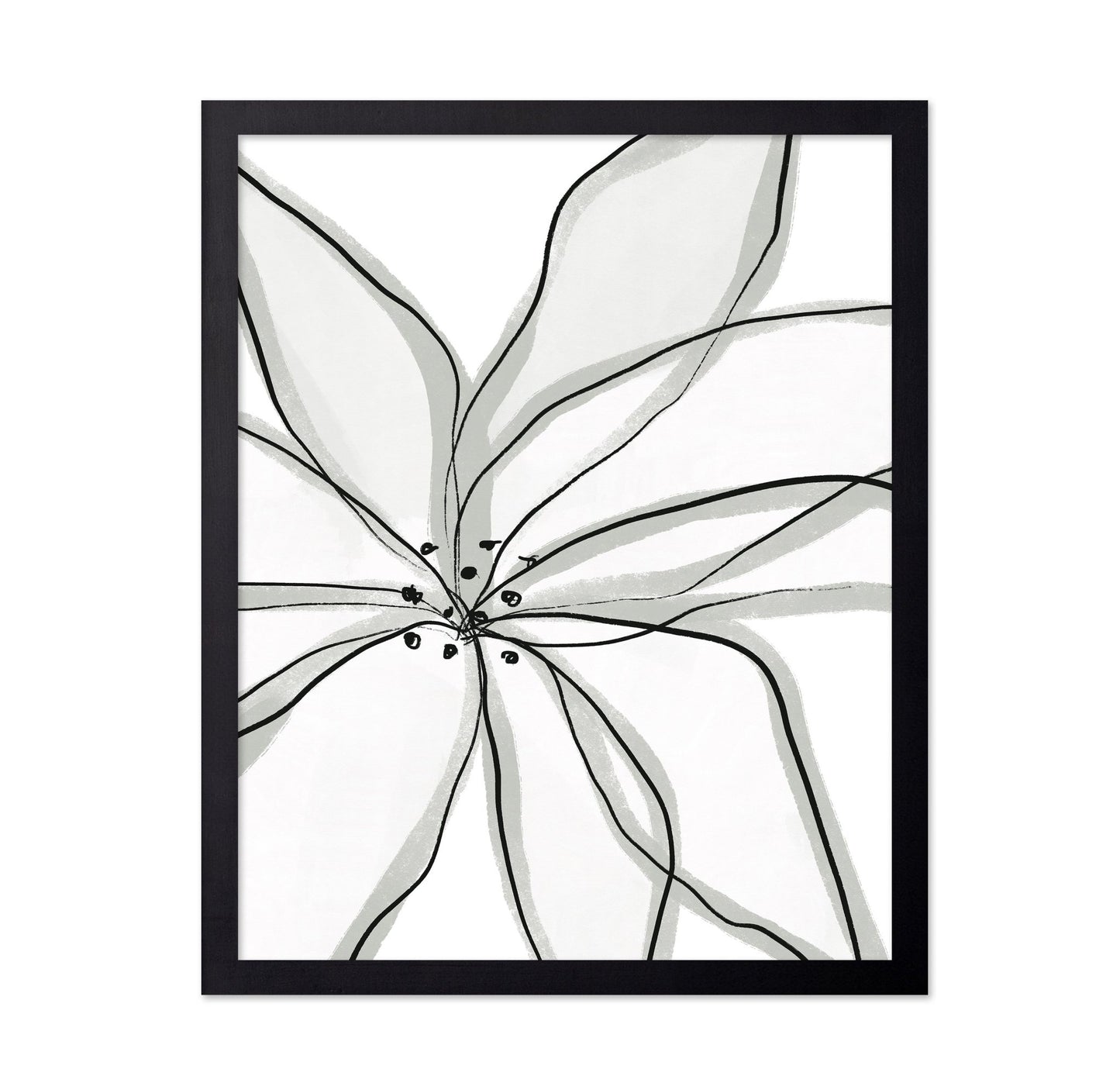 Minimal Flower Lines No1