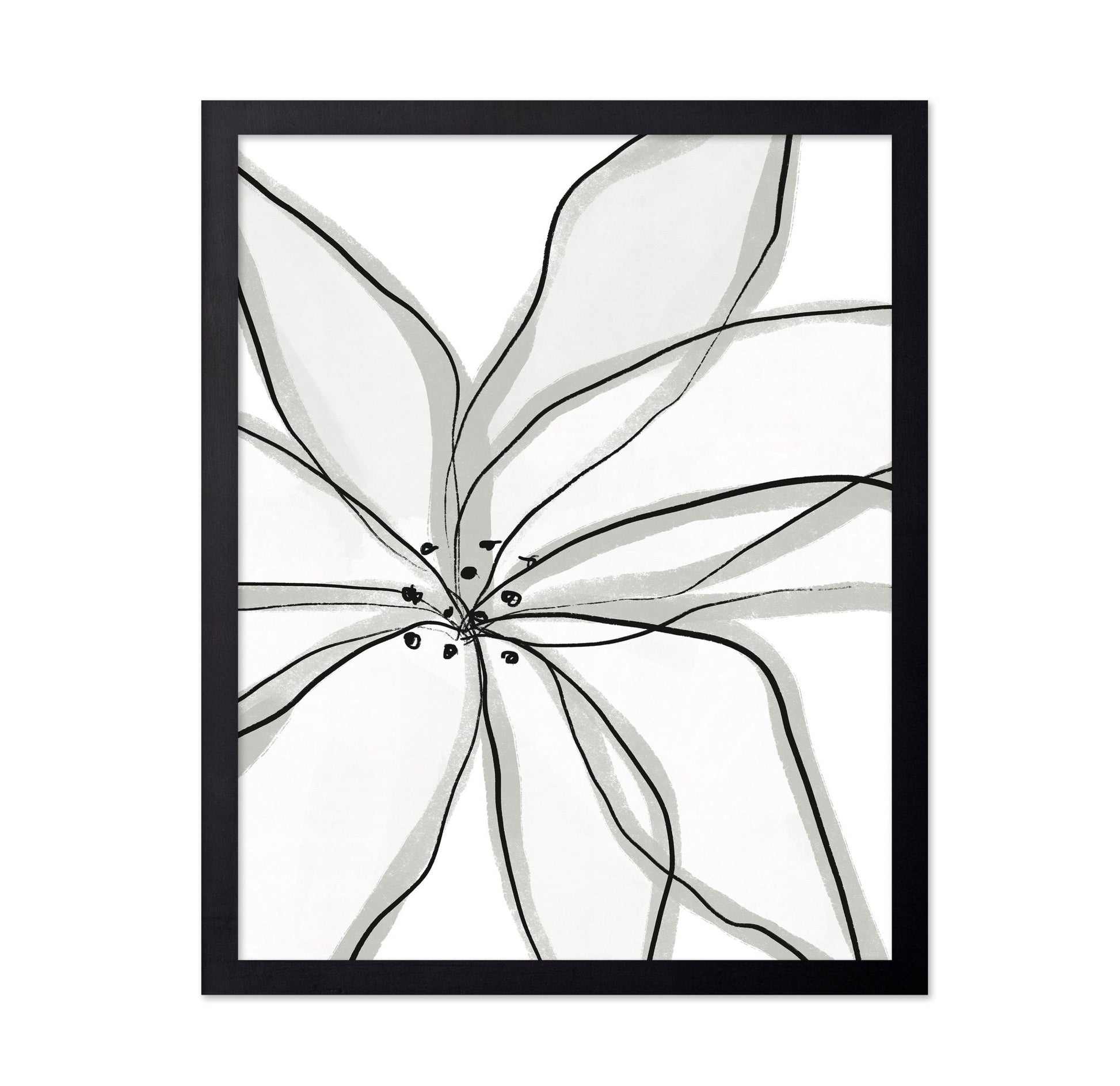 Minimal Flower Lines No1