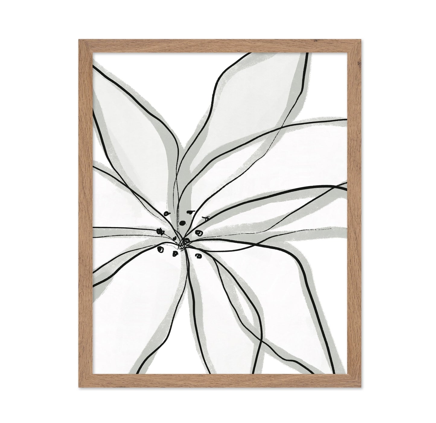 Minimal Flower Lines No1