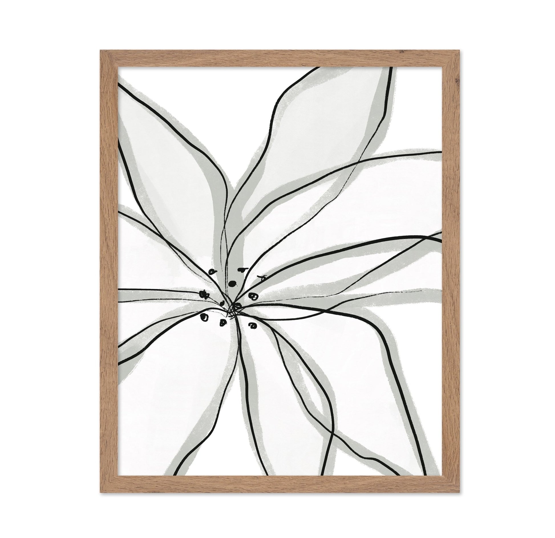 Minimal Flower Lines No1