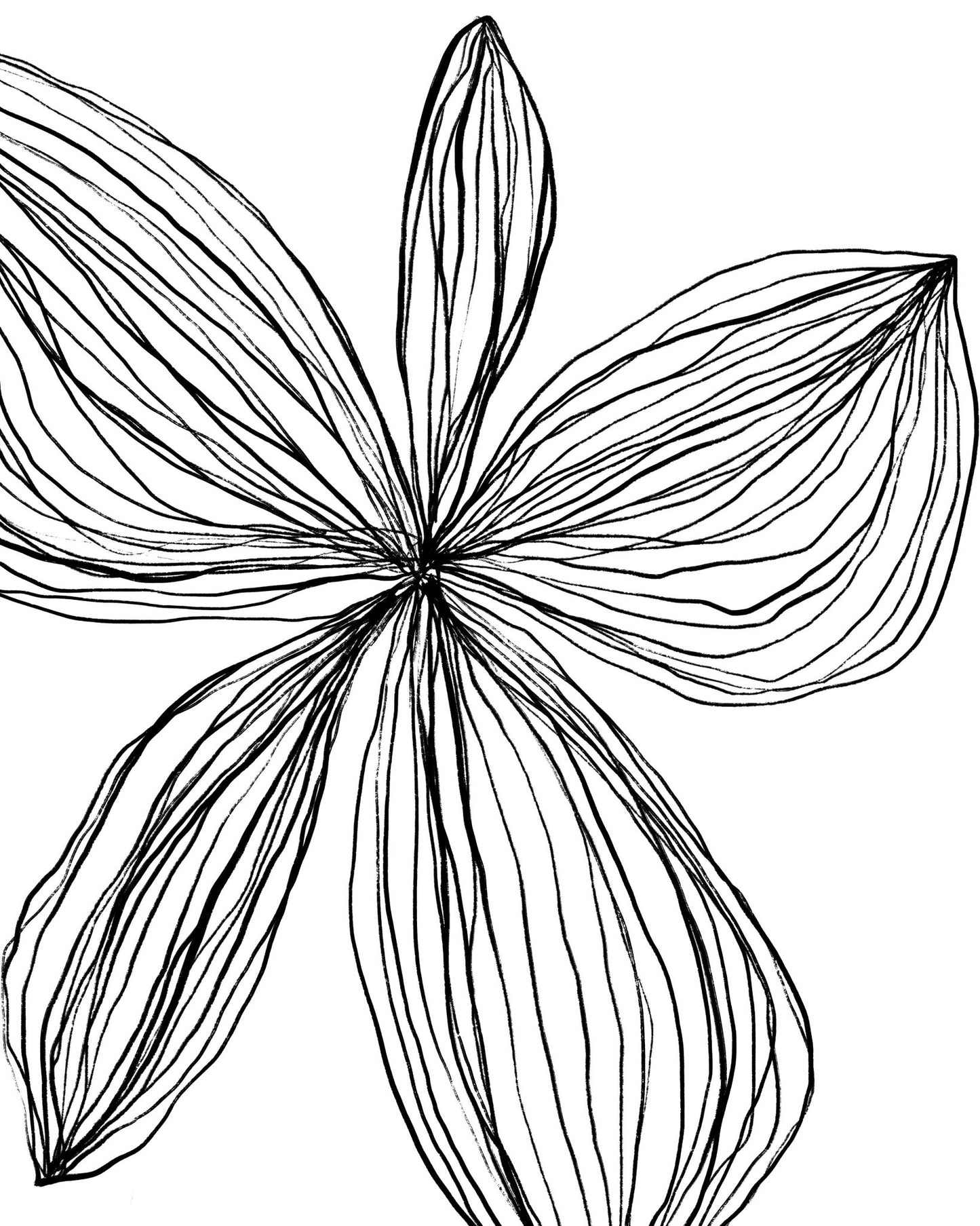 Line Art Flower