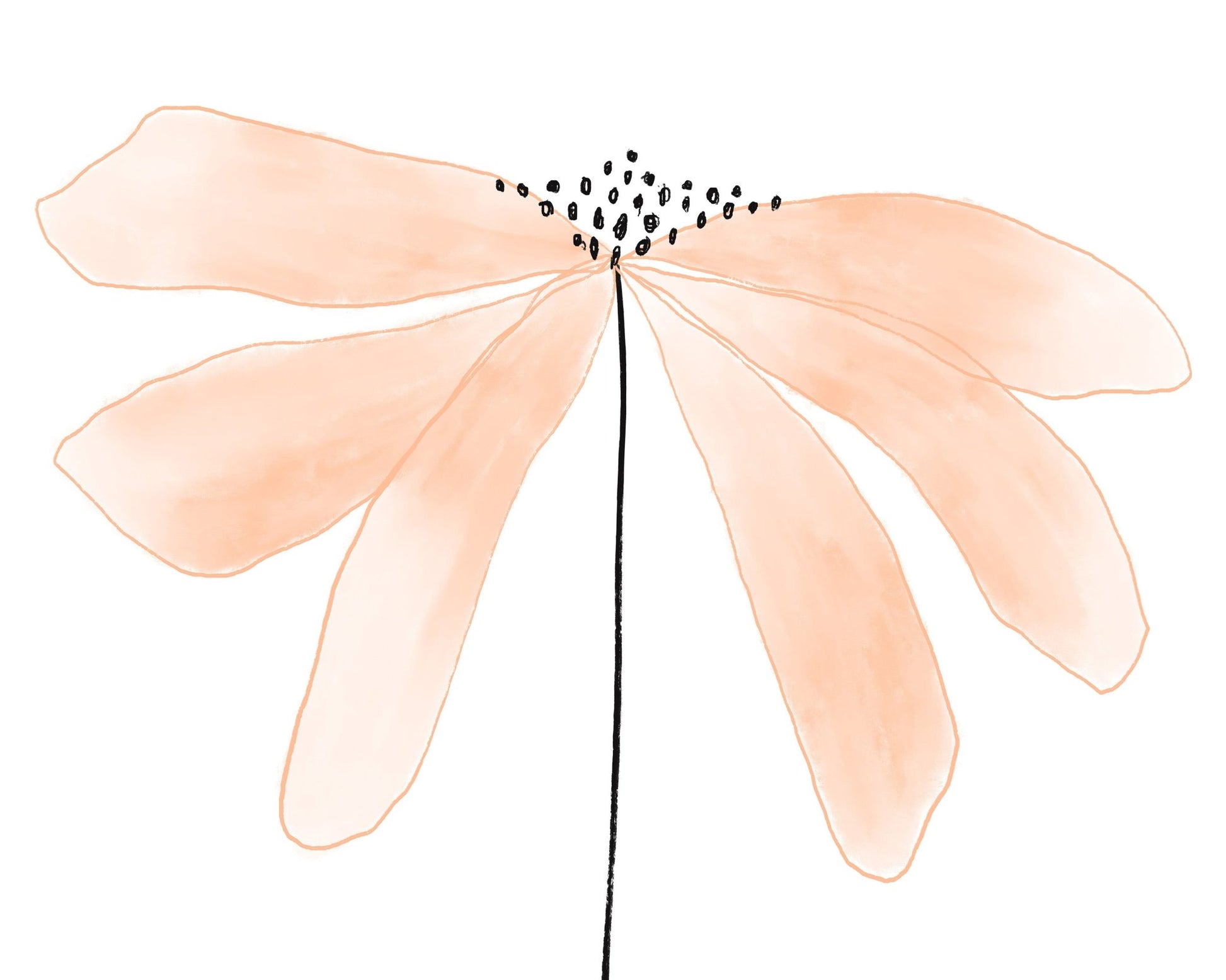 Soft Peach Bloom