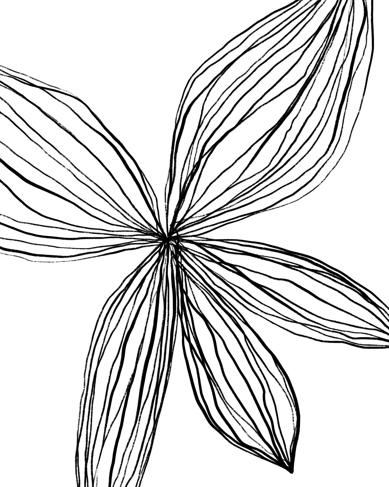 Linear Petal Bloom