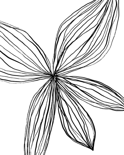 Linear Petal Bloom