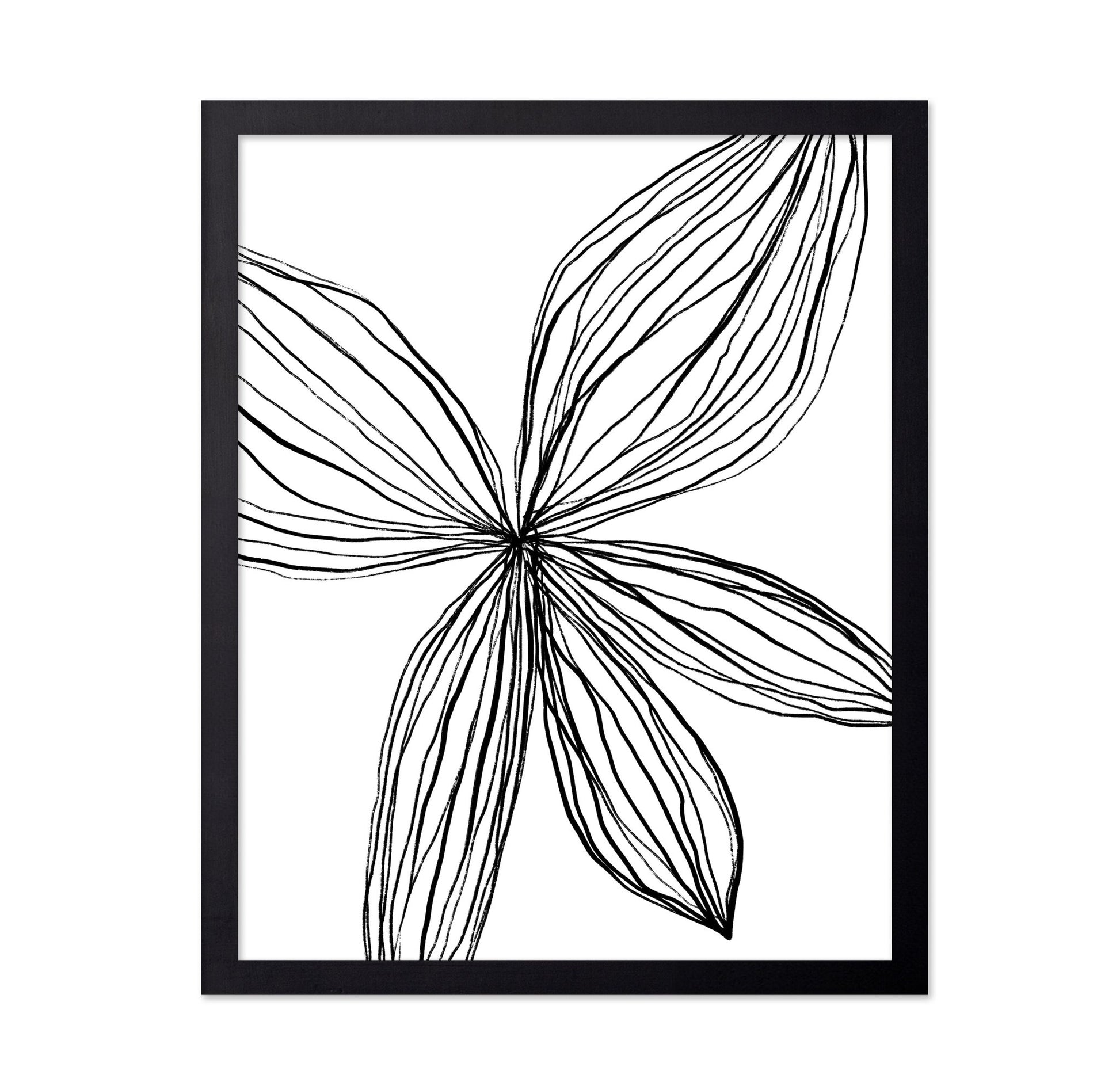 Linear Petal Bloom