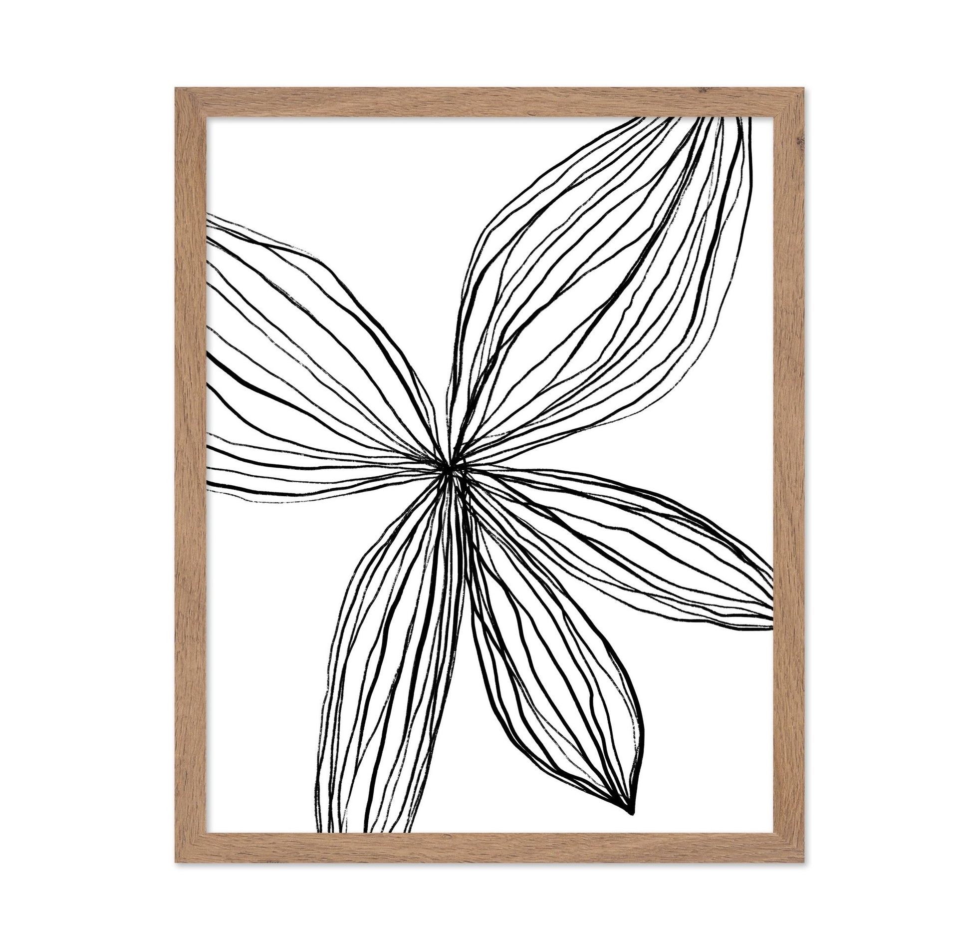 Linear Petal Bloom