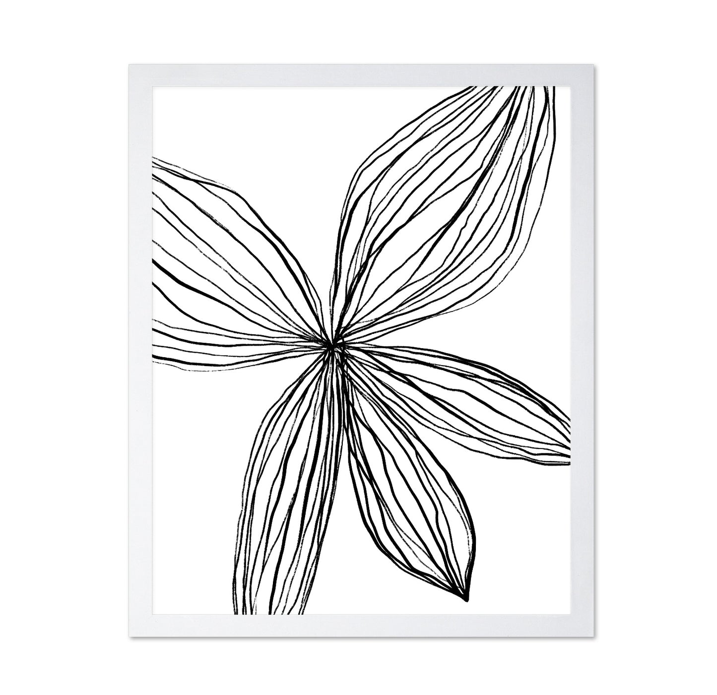 Linear Petal Bloom