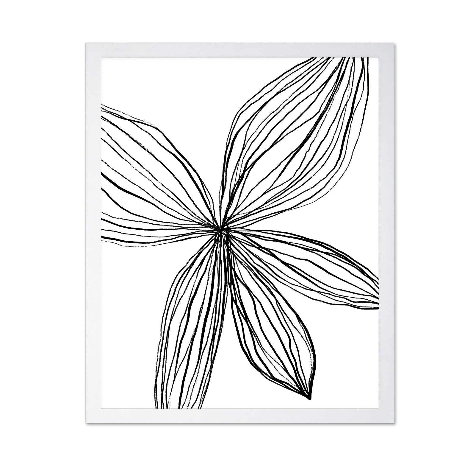 Linear Petal Bloom