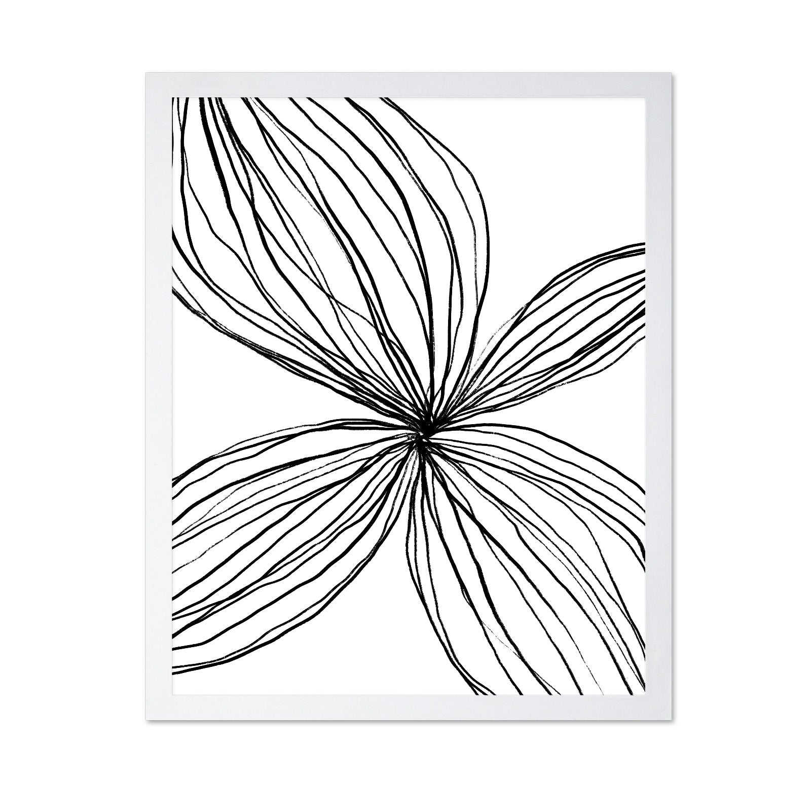 Line Petal Sketch