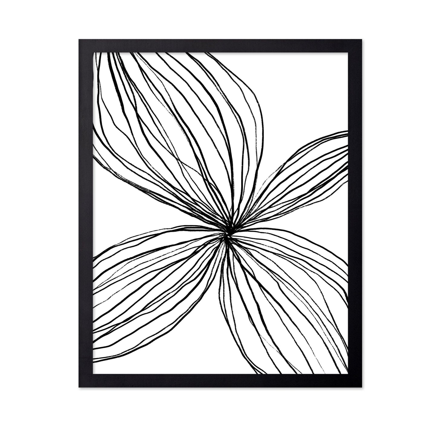 Line Petal Sketch