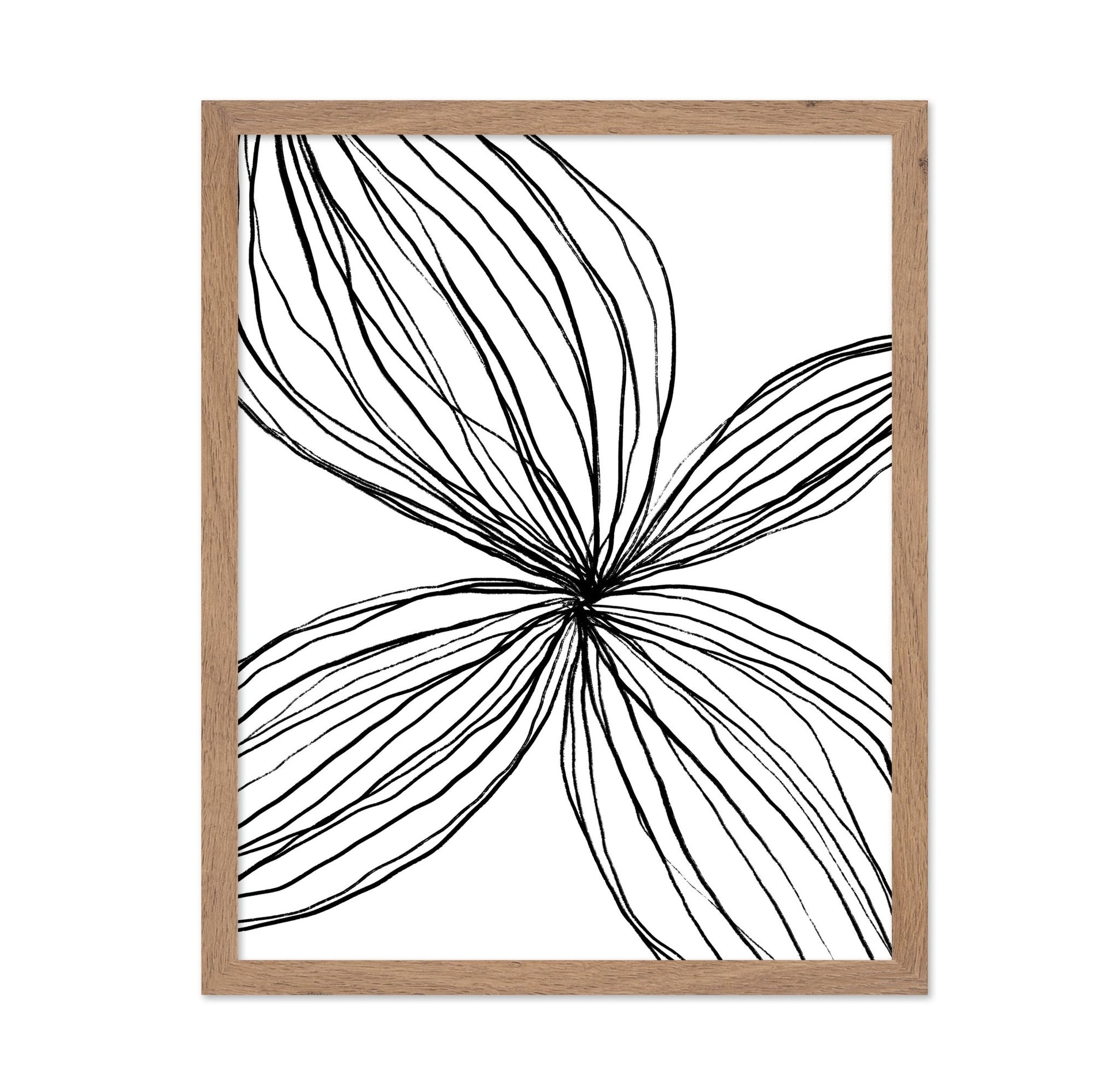 Line Petal Sketch
