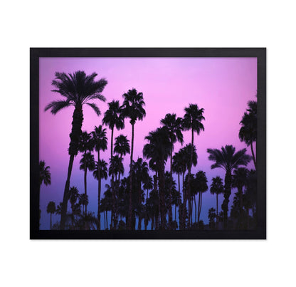 Purple Palm Skyline