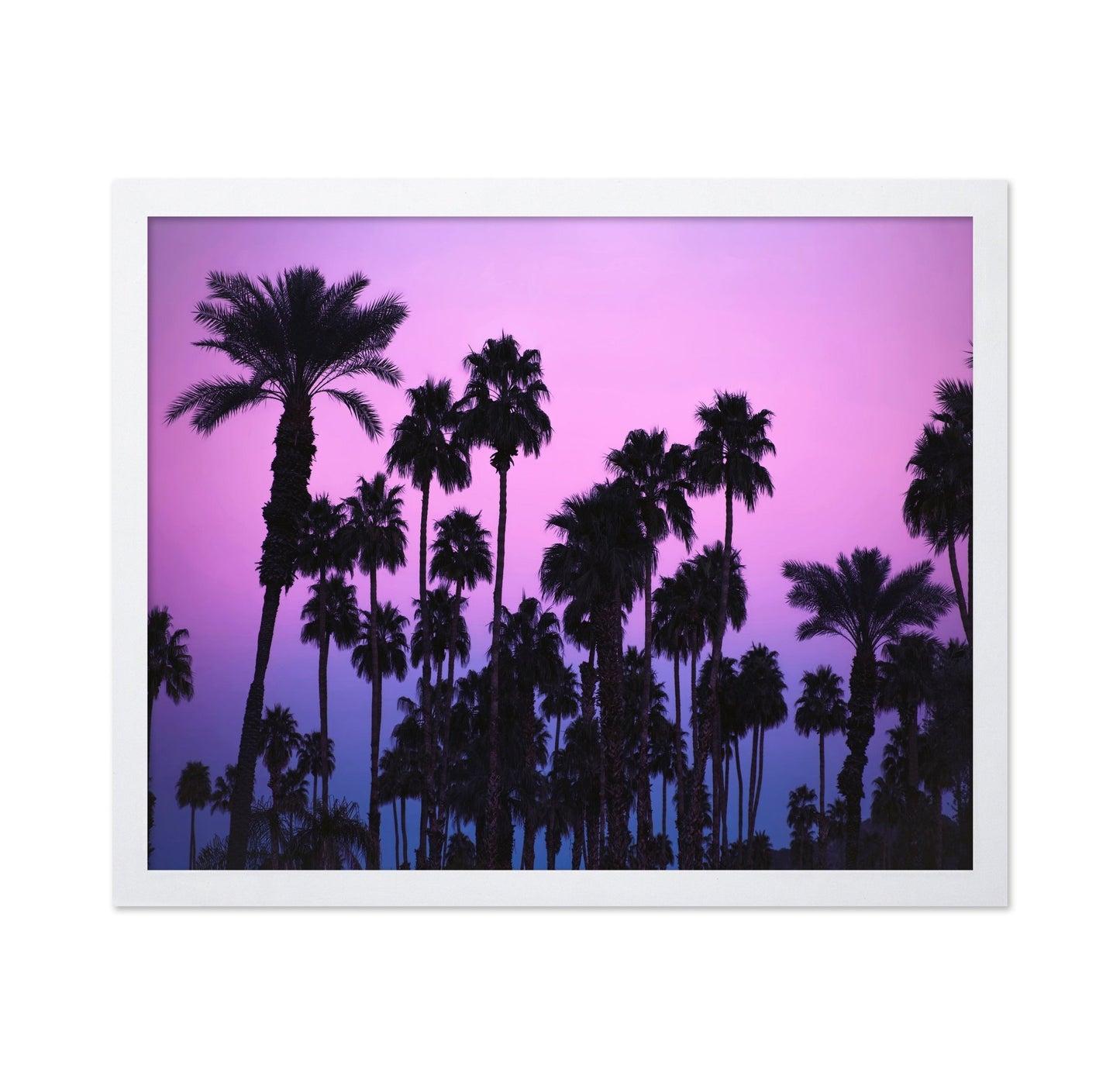 Purple Palm Skyline