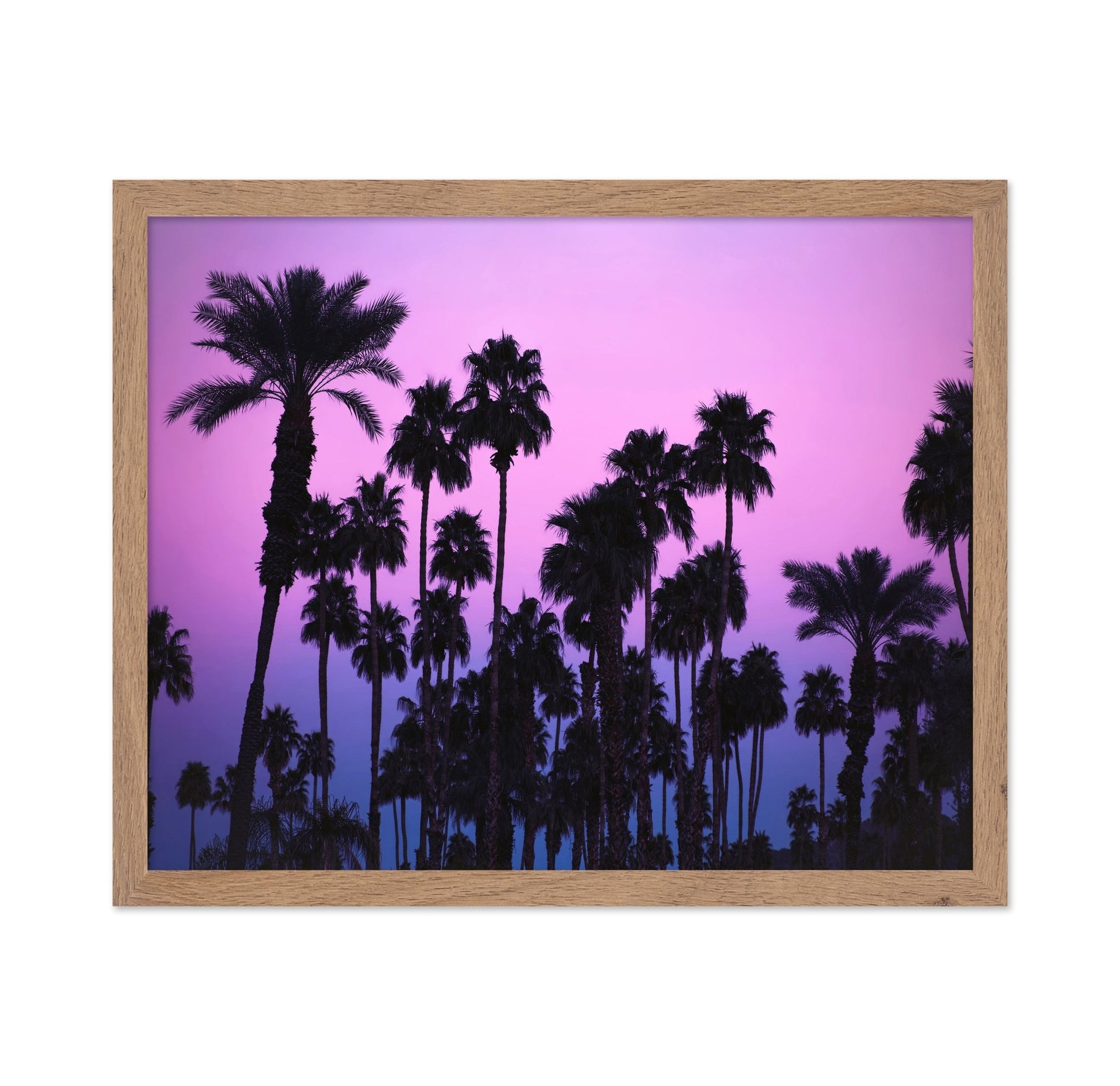 Purple Palm Skyline