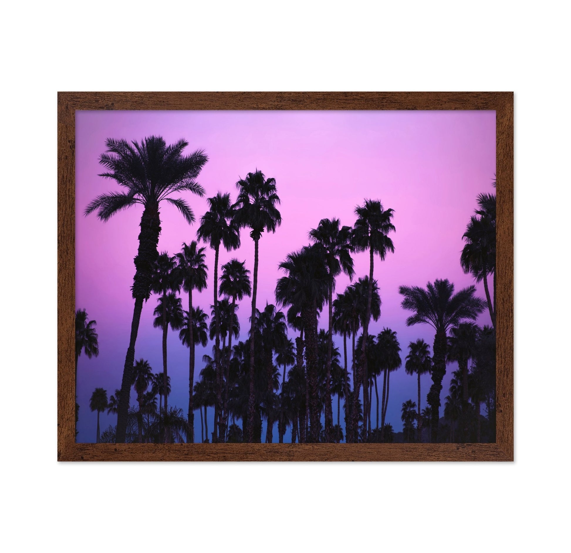 Purple Palm Skyline