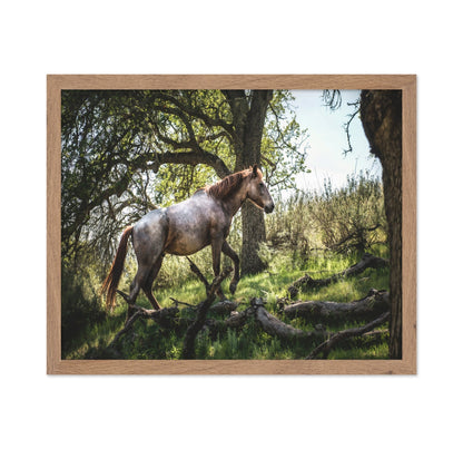 Forest Horse Walk