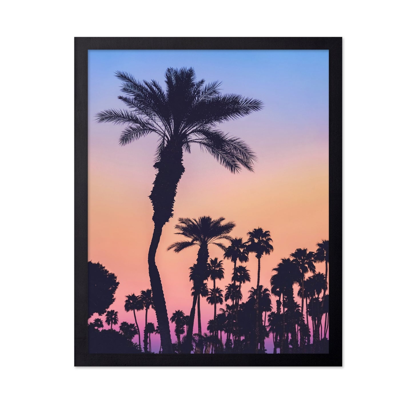 Palm Sunset Silhouette
