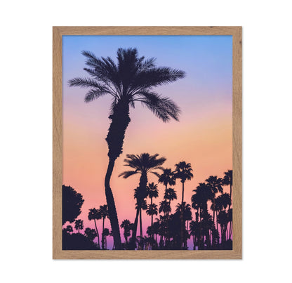 Palm Sunset Silhouette