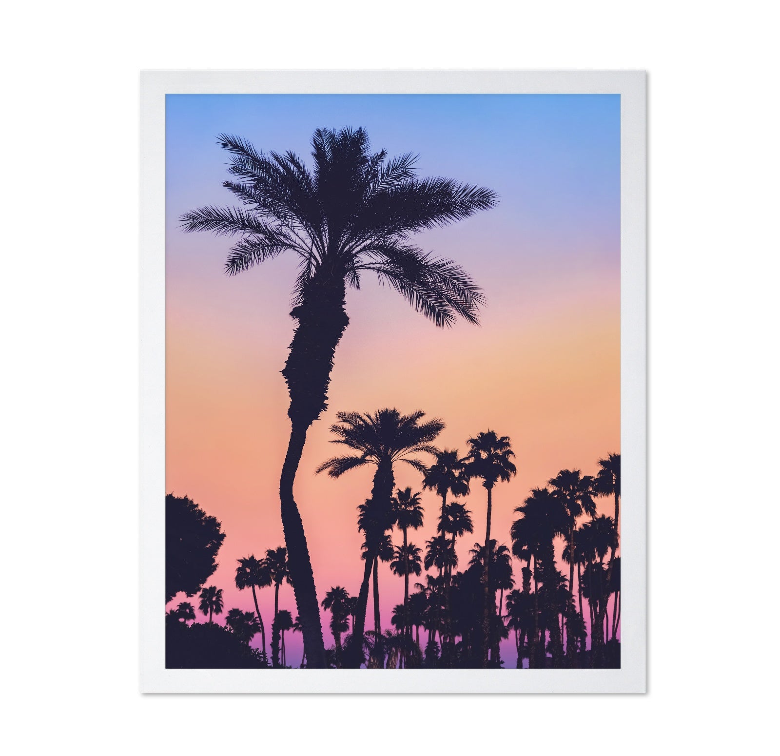 Palm Sunset Silhouette