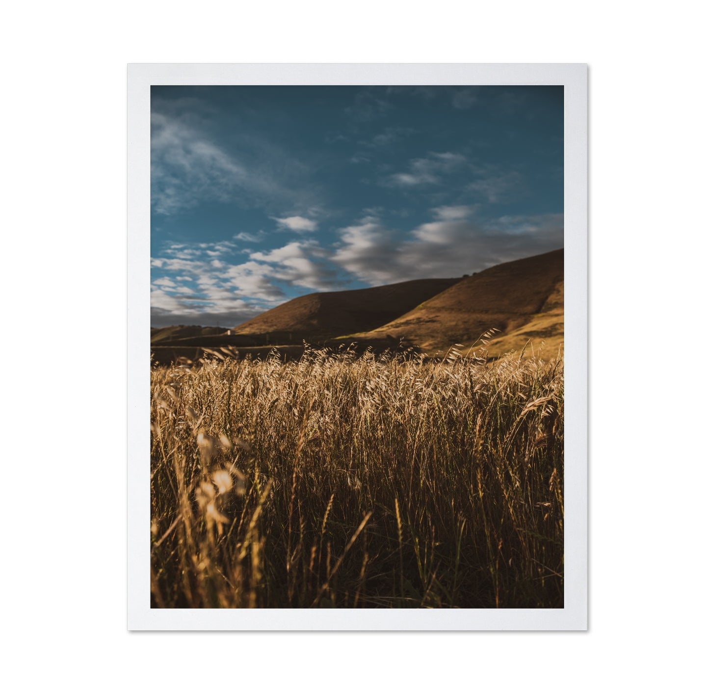Golden Field Horizon No2