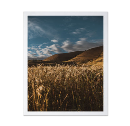 Golden Field Horizon No2