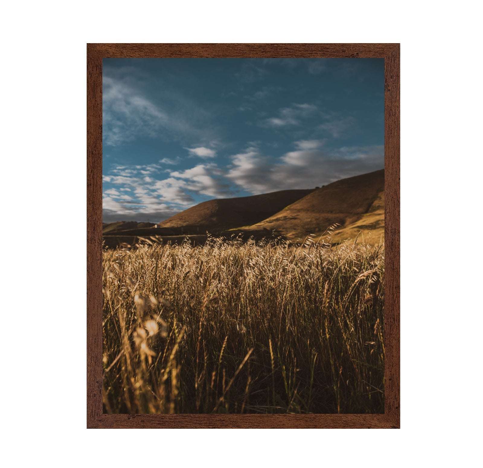 Golden Field Horizon No2
