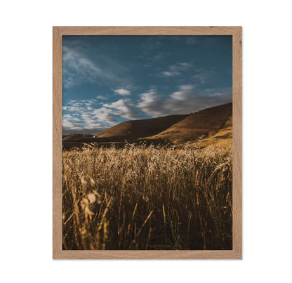 Golden Field Horizon No2