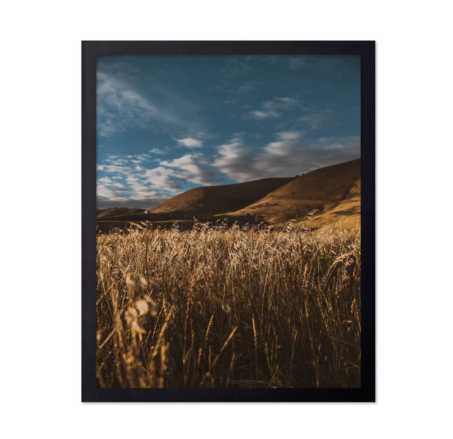 Golden Field Horizon No2