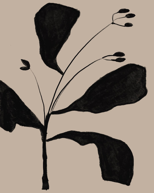 Black Botanical Sketch
