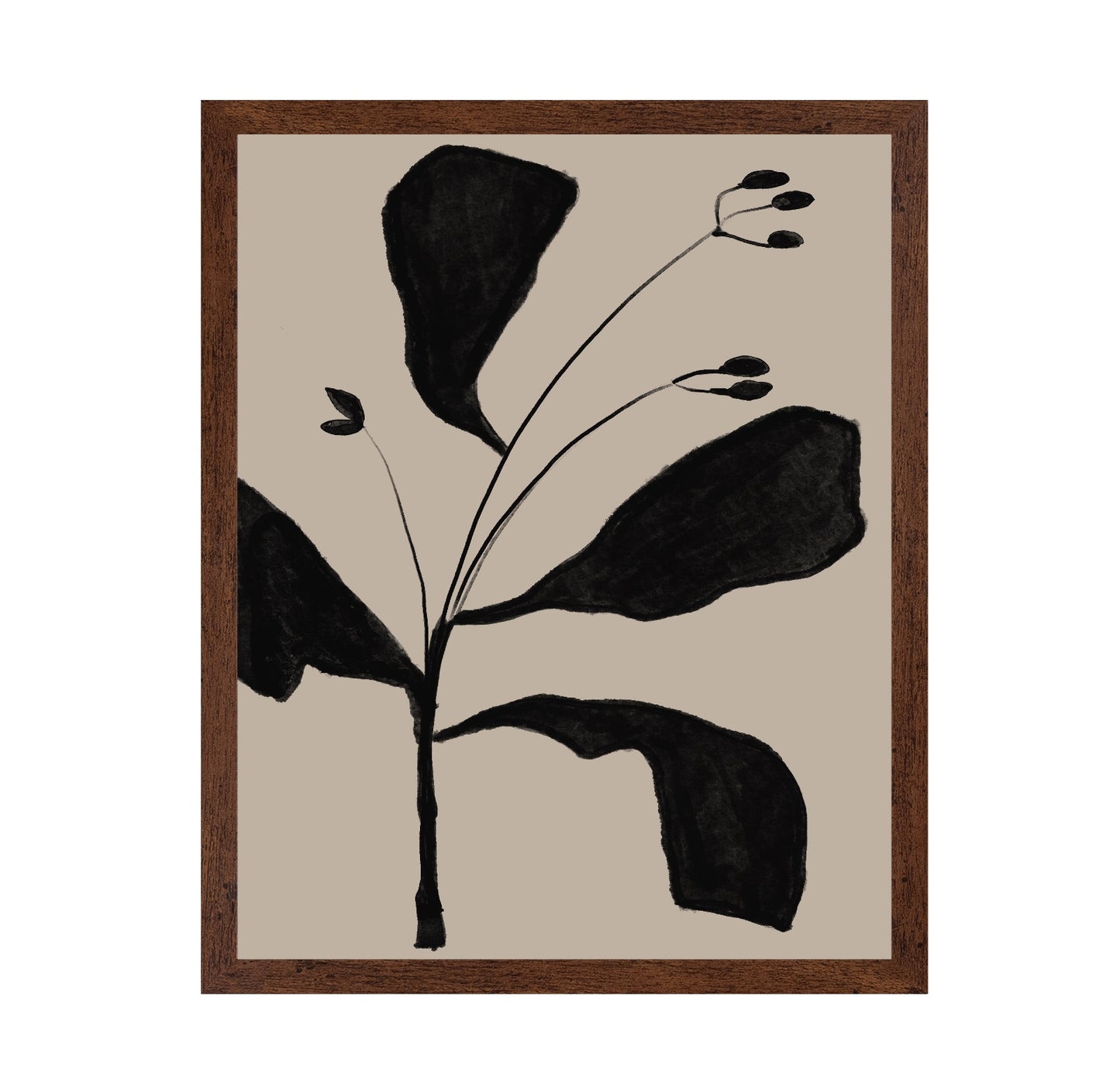 Black Botanical Sketch