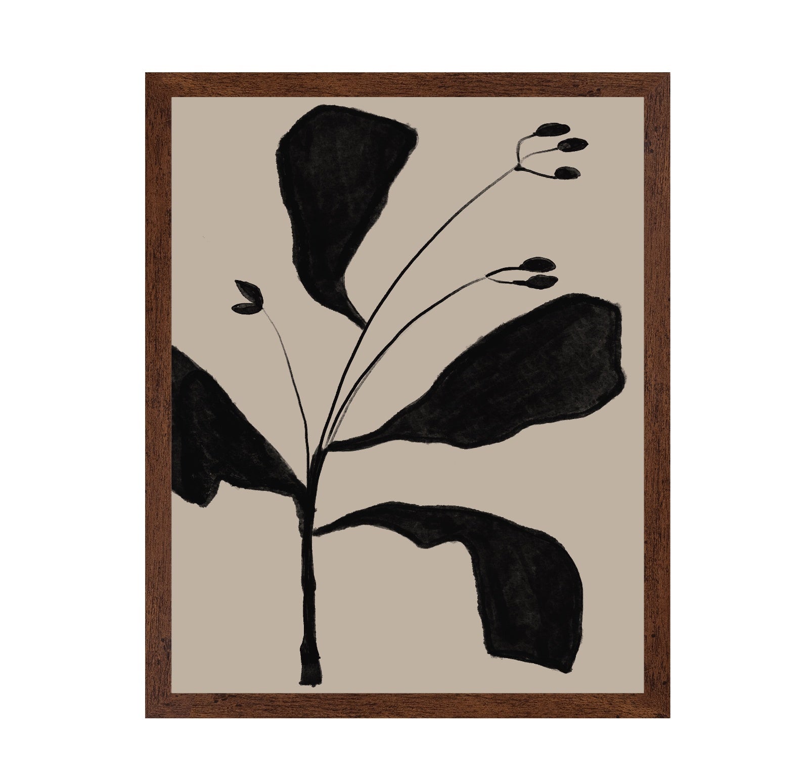 Black Botanical Sketch
